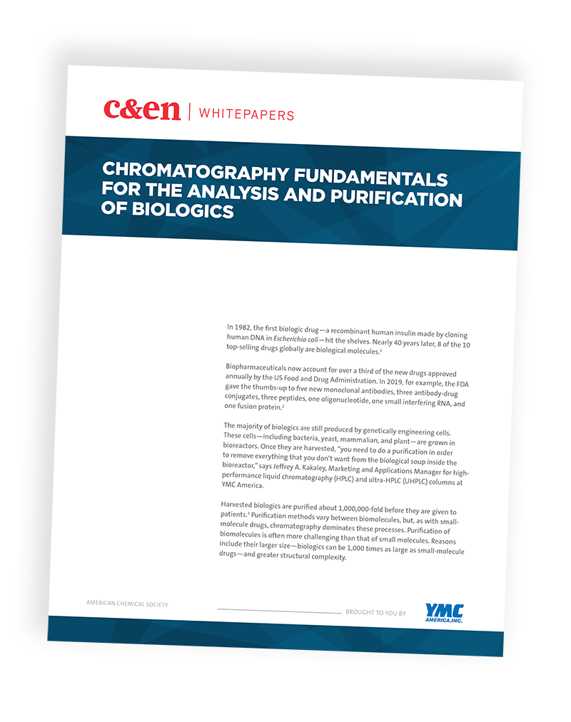 Chromatography Fundamentals for the Analysis and Purification of Biologics